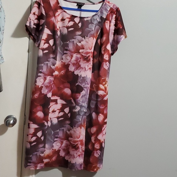 2 in 1 Dress - Picture 6 of 6